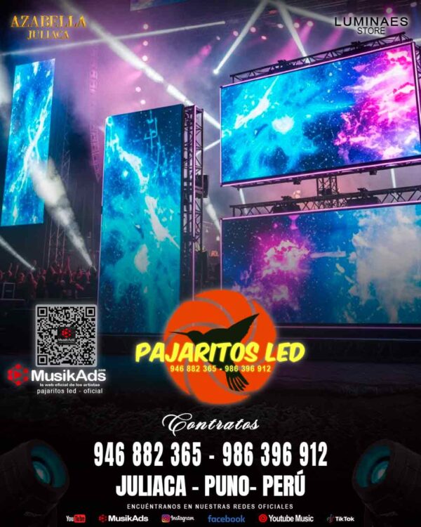 PAJARITOS LED JULIACA ®
