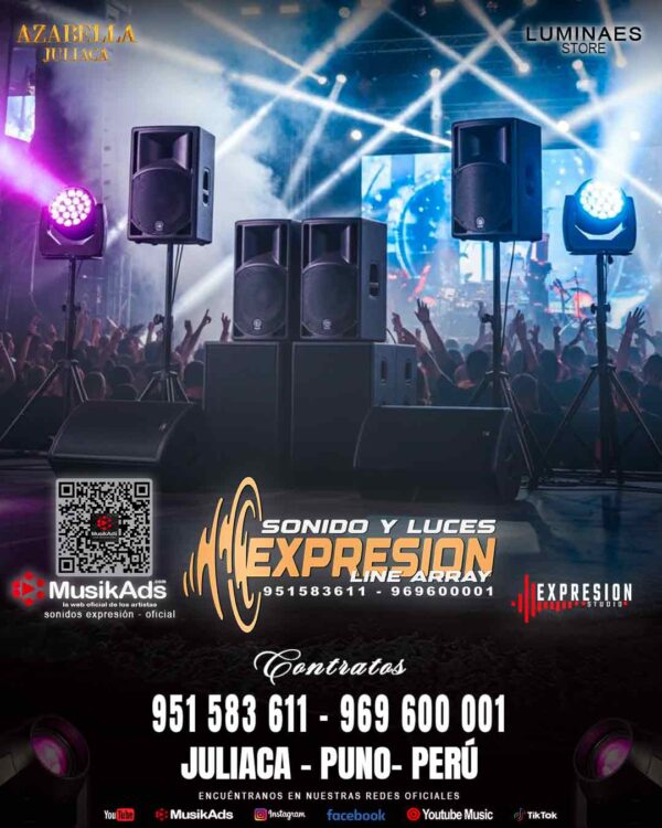 SONIDO Y LUCES EXPRESIÓN LINE ARRAY
